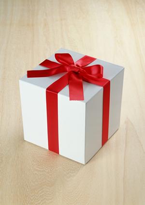 組み立て簡単の日本製ドッグハウス