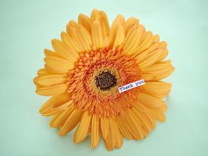 折込チラシ印刷はこの会社が断然お得